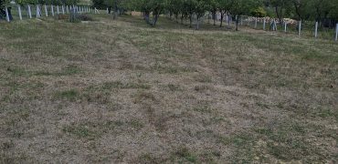 Zemljiste