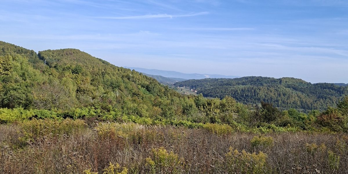 Zemljiste
