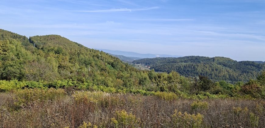 Zemljiste